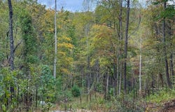 DAVIS CREEK LN, LOVINGSTON, VA 22949