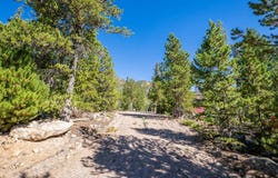 391 Tonkawa Dr, Red Feather Lakes, CO 80545