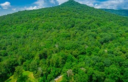 755 Priest Avenue, Jasper, TN 37347