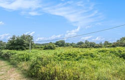 5233 124th Avenue, Fennville, MI 49408