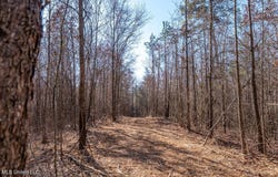 Green Door Road, Eupora, MS 39744