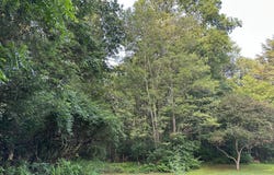 TADPOLE ROAD, PENNSYLVANIA FURNACE, PA 16865
