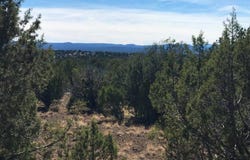 1203 County Line Circle, Ash Fork, AZ 86320