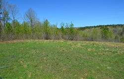 00 Gutter  RD, Harriet, AR 72639