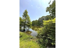 8081 Raleigh Dr, Ethel, LA 70730