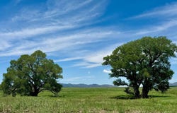 214 Apache Rd POCO TORO RANCH San Rafael Valley, Patagonia, AZ 85624