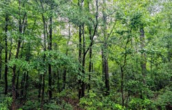 7961 Lucinda Lane, Linden, NC 28356