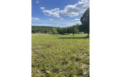 1779 County Road 822, Collinsville, AL 35961