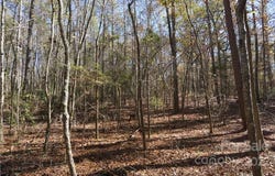 10.64 AC Burree Road, Clover, SC 29710
