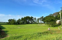 TBD Multiple Tracts, Mason City, IA 50401