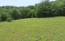 Buford Rd., Bybee, TN 37713