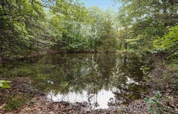 17585 Co Rd # Af-304, Ava, MO 65608