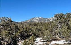 Lomprey, Pioche, NV 89043