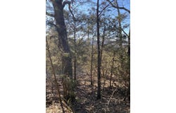 Lot 114 Cloverdale Road, Galena, MO 65656