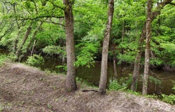 2516 Register Sutton Road, Rose Hill, NC 28458