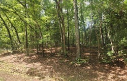 421 Shawnee Drive, Louisburg, NC 27549