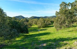 518 Bella Terra Court, San Luis Obispo, CA 93401