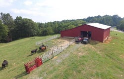 0 Breeding Loop, Breeding, KY 42715