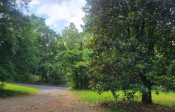 13036 SAGLE, HILLSBORO, VA 20132