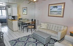 20893 HAULOVER Cove, LUTZ, FL 33558
