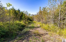 State Route 723, Salem, KY 42078