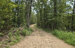 76-126, Norwood, MO 65717