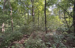 1133 Flood Road, Hardinsburg, KY 40143