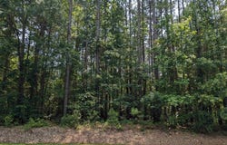 412 Eagles Harbor Dr, Hodges, SC 29653