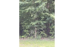 11 Otter Trail Ct, Columbia, SC 29203