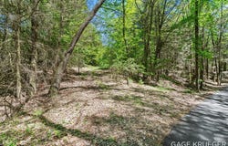 V/L W Thomas Road, Shelby, MI 49455