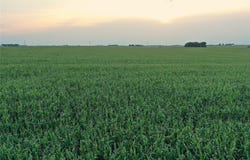 400th St & 405th Street, Osage, IA 50461