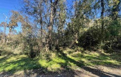Wood Ave, Sheffield, AL 35660