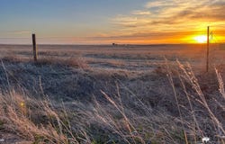 TBD County Road 55, Ault, CO 80610