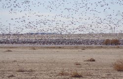 359 Acres CR 164, No City, TX 79521