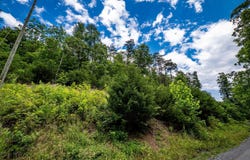 Lot 10 STAR TANNERY ROAD, STAR TANNERY, VA 22654