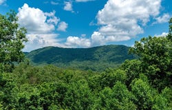 1023 Knollwood Road, Mineral Bluff, GA 30559