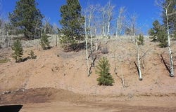 185 No Name Lane, Cripple Creek, CO 80813
