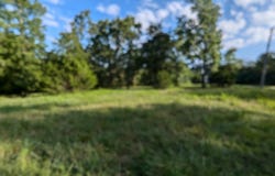 1145 Lake Point Road, Kissee Mills, MO 65680