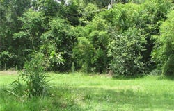 601 Nicholls Street, Waycross, GA 31501