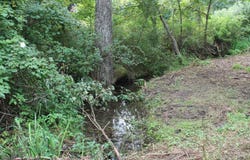 1721 Matney Hollow Road, Seymour, MO 65746