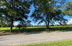 TBD Baudoin Rd, Maurice, LA 70555