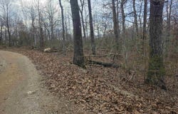 L4 B2 Bald Eagle Trail, Ozark Acres, AR 72482