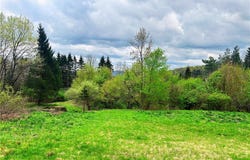 Sisson Hill Road, Unadilla, NY 13849