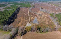 0104199 Bowers Rd., Littleton, NC 27850