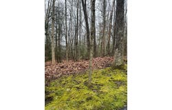 Timber Ridge Drive, BECKLEY, WV 25801