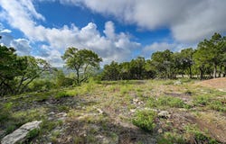 10909 Turkey Bend Dr, Jonestown, TX 78645