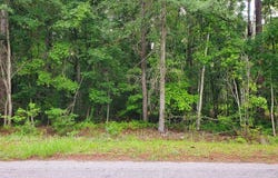 Tbd And 1033-6 Tract B At Church Subdivision, Manning, SC 29102