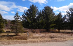 5458 Wellington, Gladwin, MI 48624