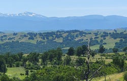12723 Gas Point Road, Igo, CA 96047