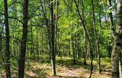 2 810th Street, Sand Creek, WI 54765